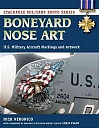 Boneyard Nose Art: U.S. Military Aircraft Markings and Artwork (Paperback)