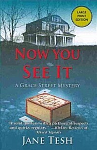 Now You See It: A Grace Street Mystery (Paperback)