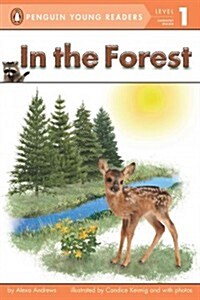 In the Forest (Paperback)