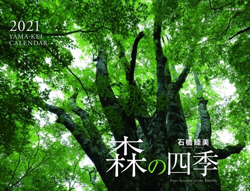 森の四季 (2021)