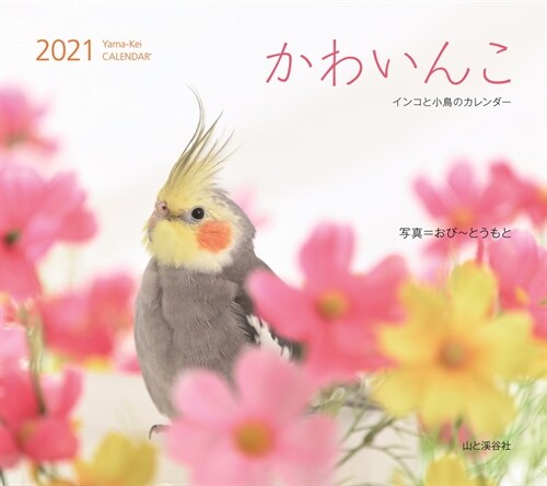 かわいんこ インコと小鳥のカレンダ- (2021)