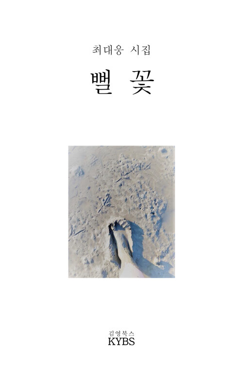 뻘꽃 :최대웅 시집 