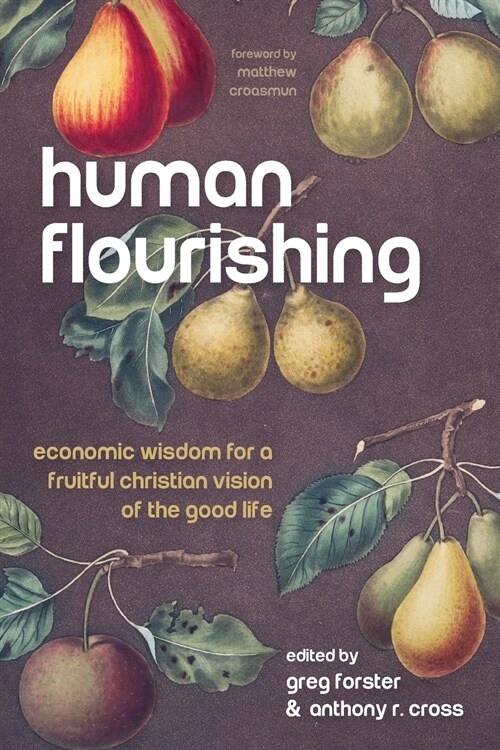 Human Flourishing: Economic Wisdom for a Fruitful Christian Vision of the Good Life (Paperback)