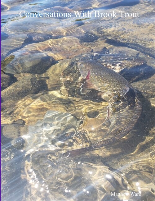 Conversations With Brook Trout (Paperback)