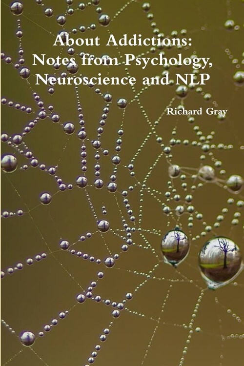 About Addictions: Notes from Psychology, Neuroscience and NLP (Paperback)