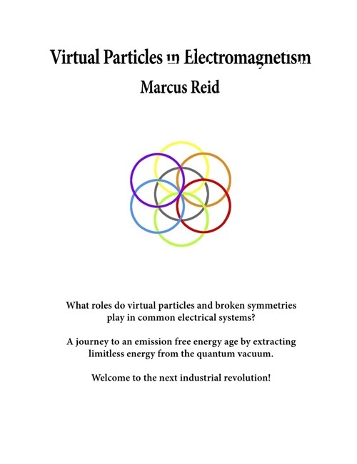Virtual Particles in Electromagnetism (Paperback)
