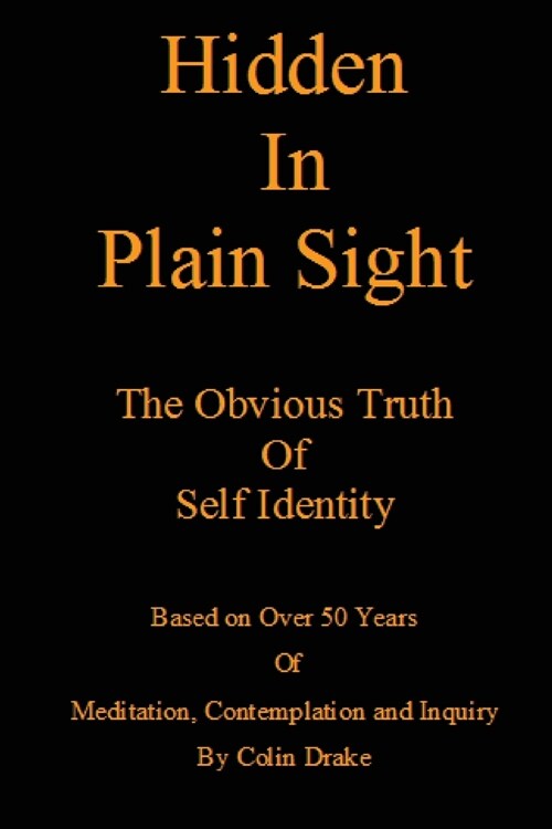 Hidden in Plain Sight: The Obvious Truth of Self-Identity (Paperback)