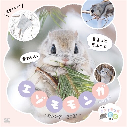 まるっともふっとかわいいエゾモモンガカレンダ- (2021)