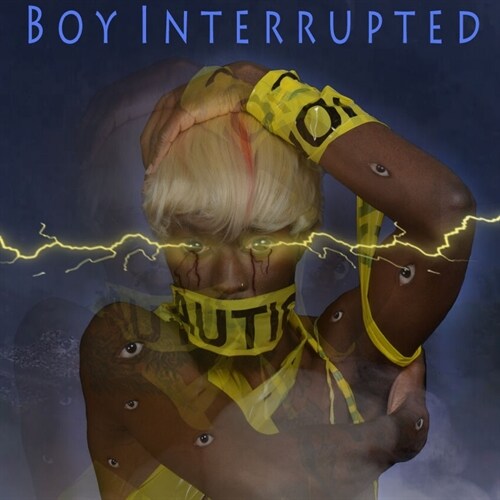 Boy Interrupted (Paperback)