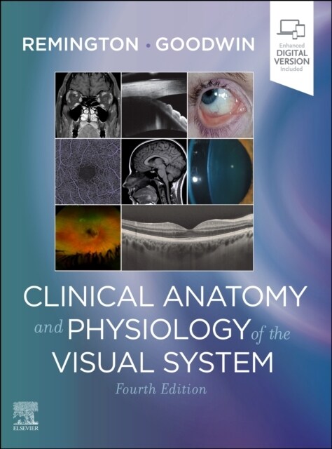 Clinical Anatomy and Physiology of the Visual System (Hardcover, 4)
