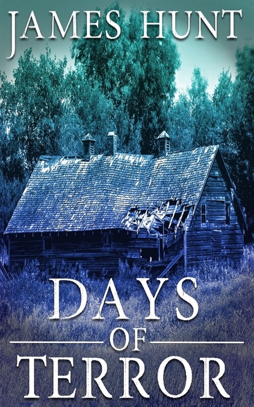 Days of Terror (Paperback)