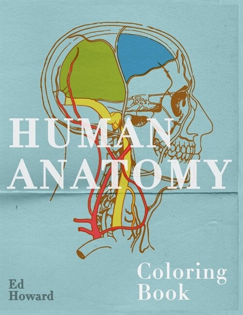 Human Anatomy Coloring Book: Visual and Instructive Guide To the Human Body - Muscles, Bones, Blood, Nerves and Their Phisiology (Paperback)