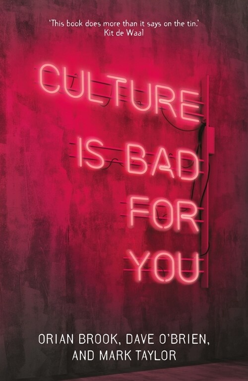Culture is Bad for You : Inequality in the Cultural and Creative Industries (Hardcover)