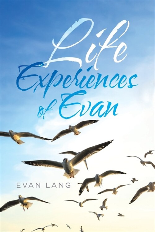 Life Experiences of Evan (Paperback)