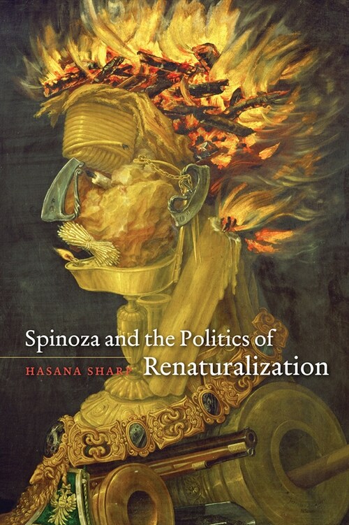 Spinoza and the Politics of Renaturalization (Paperback)