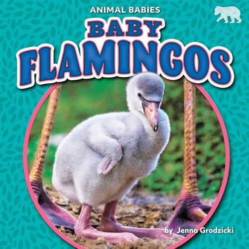 Baby Flamingos (Library Binding)