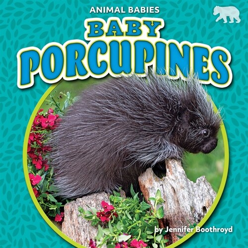 Baby Porcupines (Library Binding)