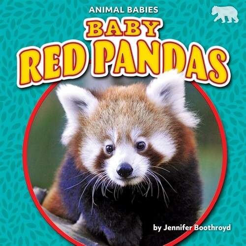 Baby Red Pandas (Library Binding)