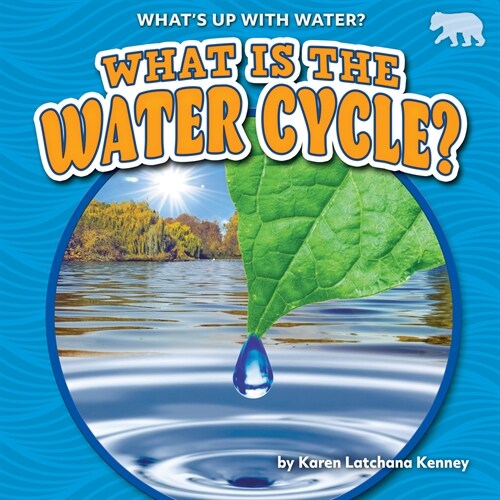What Is the Water Cycle? (Library Binding)
