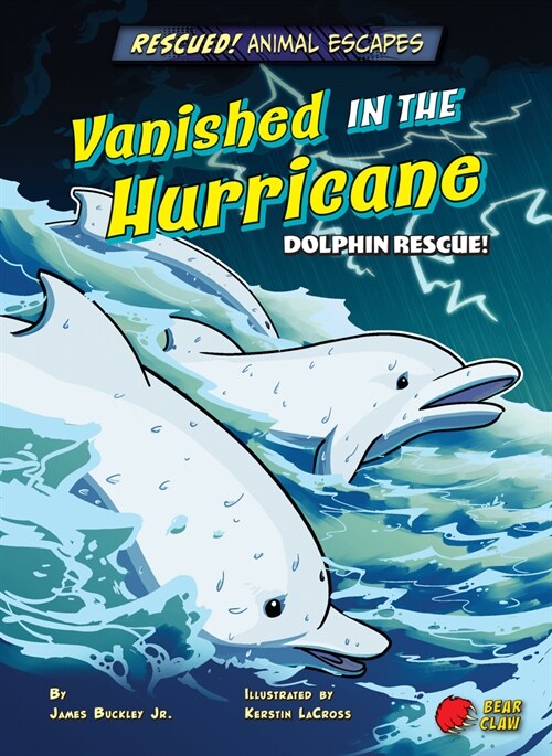 Vanished in the Hurricane: Dolphin Rescue! (Paperback)