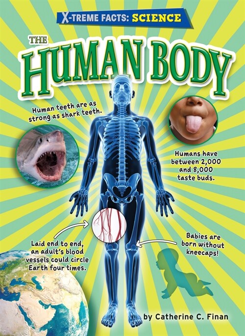 The Human Body (Paperback)