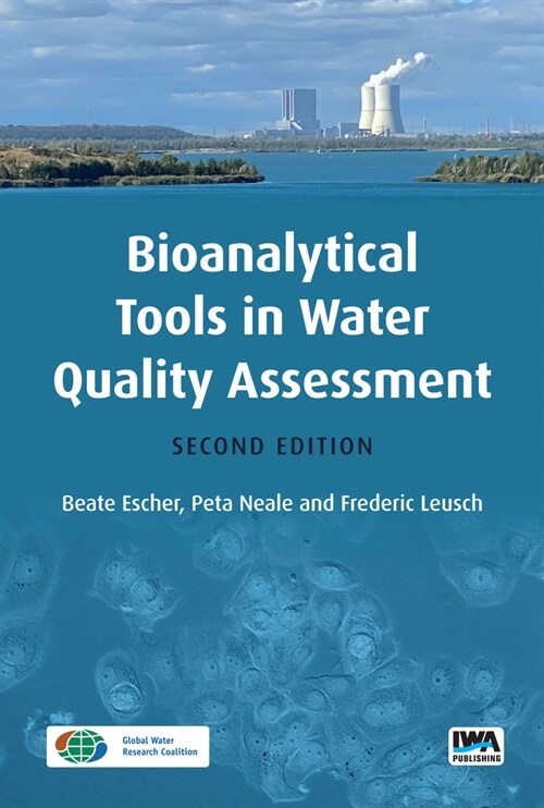 Bioanalytical Tools in Water Quality Assessment (Paperback, 2)