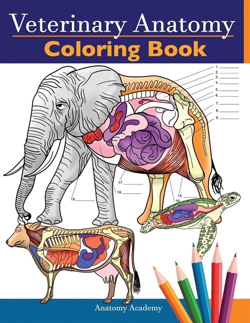 Veterinary Anatomy Coloring Book: Animals Physiology Self-Quiz Color Workbook for Studying and Relaxation Perfect gift For Vet Students and even Adult (Paperback)