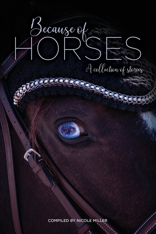 Because of Horses: A collection of stories (Paperback)