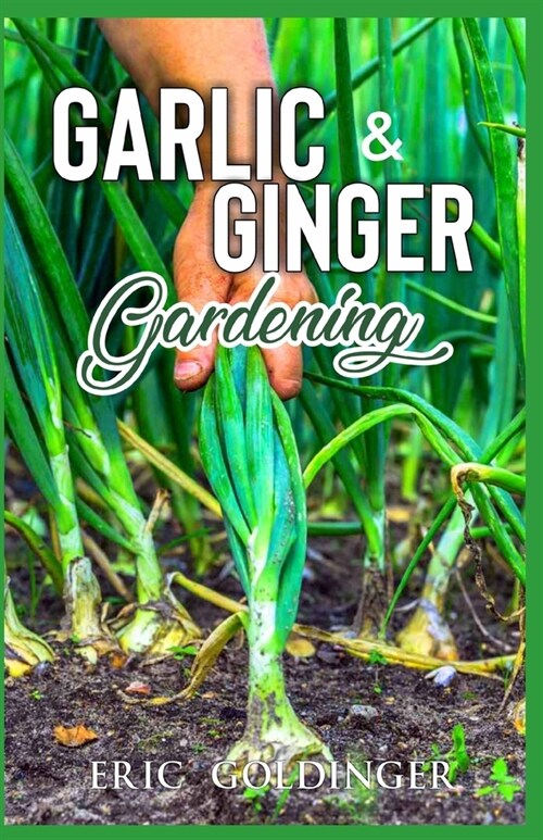 Garlic & Ginger Gardening: Simplified Guide To Growing & Harvesting Ginger and Garlic / Medicinal Usage & Cooking Recipes (Paperback)