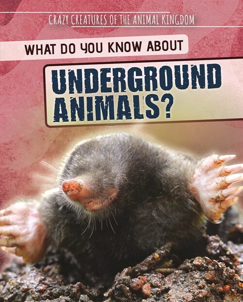 What Do You Know about Underground Animals? (Paperback)