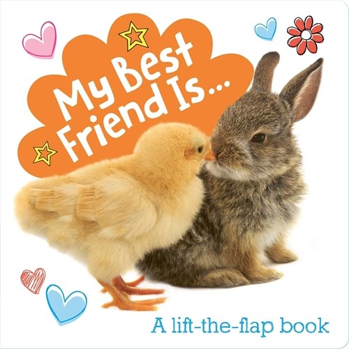 My Best Friend Is...: A Lift-The-Flap Book (Board Books)