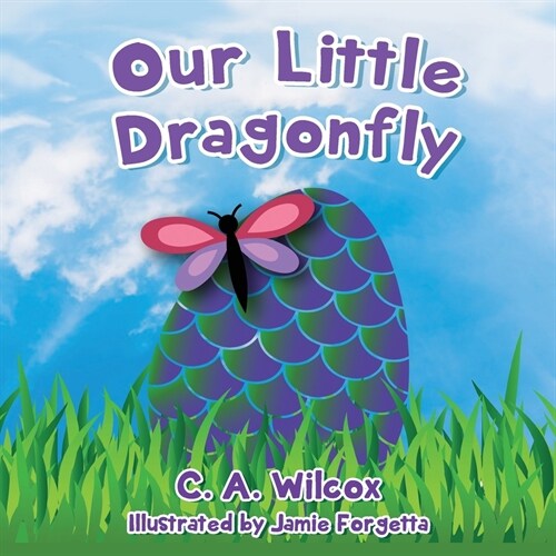 Our Little Dragonfly (Paperback)
