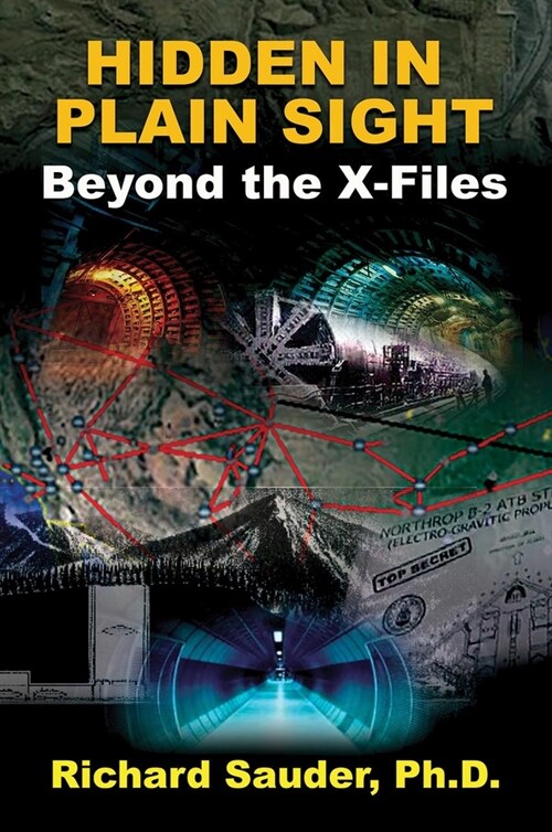 Hidden in Plain Sight: Beyond the X-Files (Paperback)