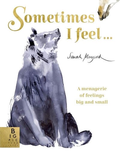 Sometimes I Feel... : A Menagerie of Feelings Big and Small (Paperback)