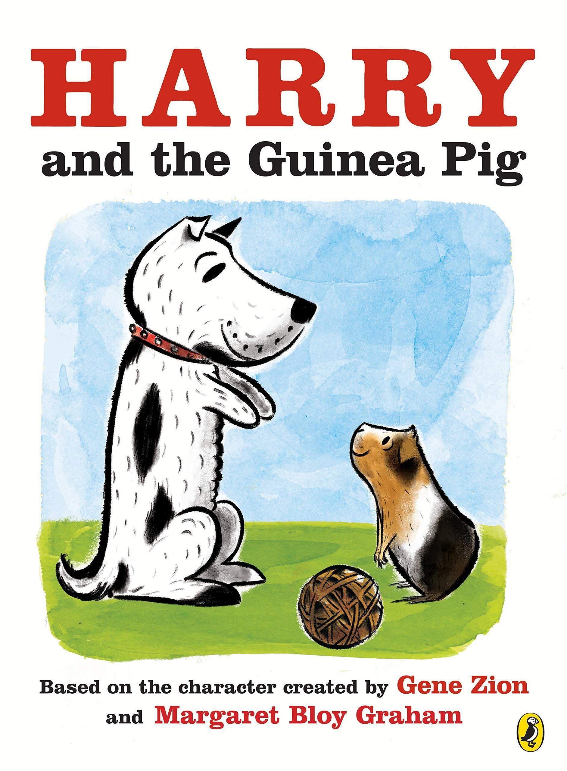 Harry and the Guinea Pig (Paperback)