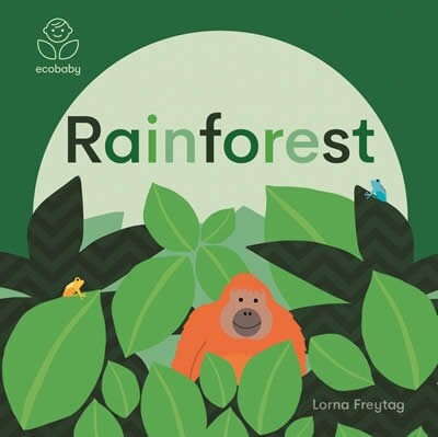 Eco Baby: Rainforest (Board Book)