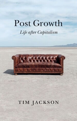 Post Growth : Life after Capitalism (Paperback)