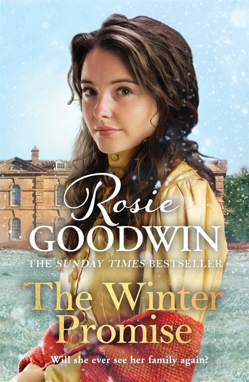 The Winter Promise : A perfect cosy Victorian saga from the Sunday Times bestselling author (Paperback)