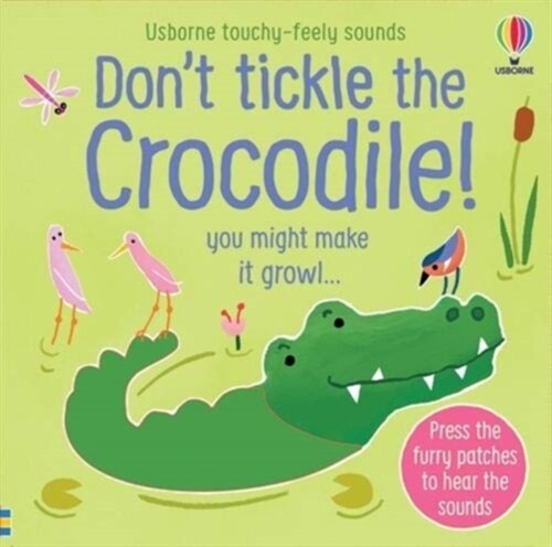 Dont Tickle the Crocodile! (Board Book)