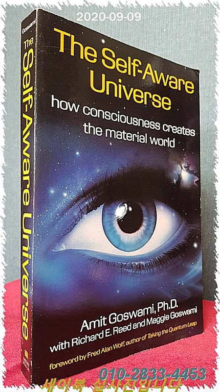 [중고] The Self-Aware Universe: How Consciousness Creates the Material World (Paperback)