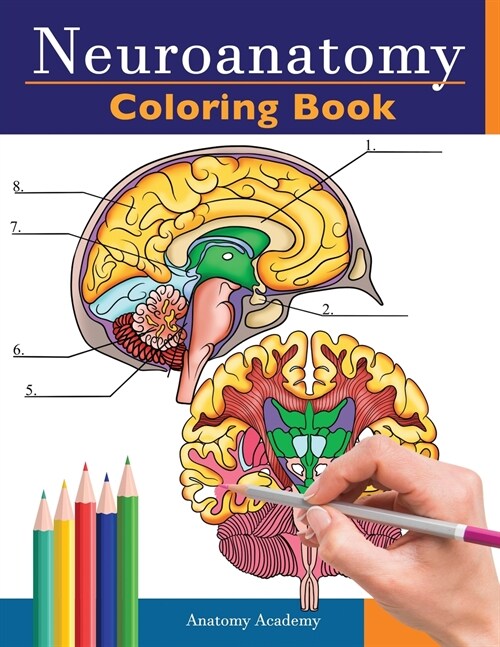 Neuroanatomy Coloring Book: Incredibly Detailed Self-Test Human Brain Coloring Book for Neuroscience Perfect Gift for Medical School Students, Nur (Paperback)