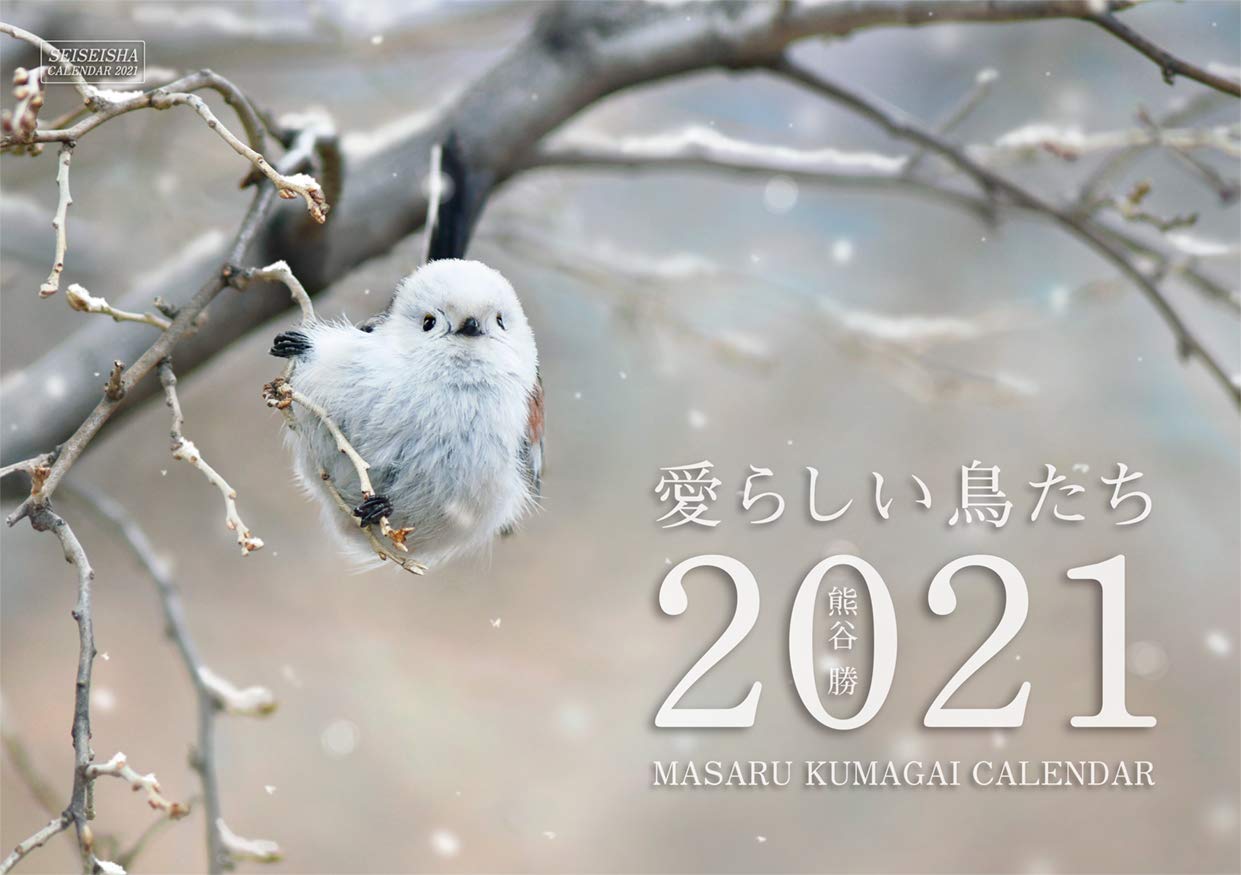 愛らしい鳥たちカレンダ- (2021)