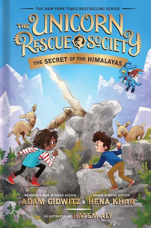 The Secret of the Himalayas (Hardcover)