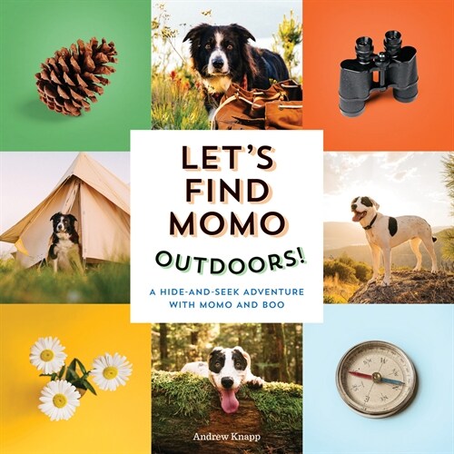 Lets Find Momo Outdoors!: A Hide-And-Seek Adventure with Momo and Boo (Board Books)