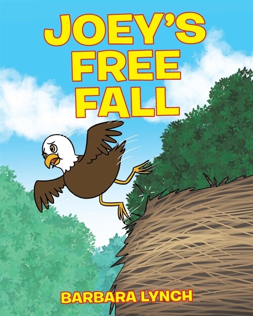 Joeys Free Fall (Paperback)