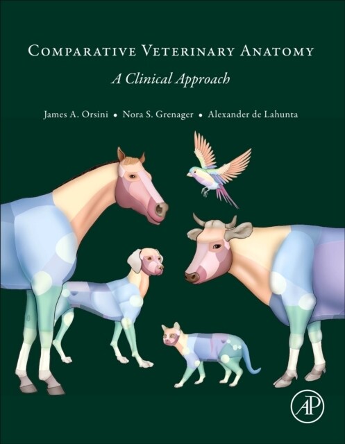 Comparative Veterinary Anatomy : A Clinical Approach (Hardcover)