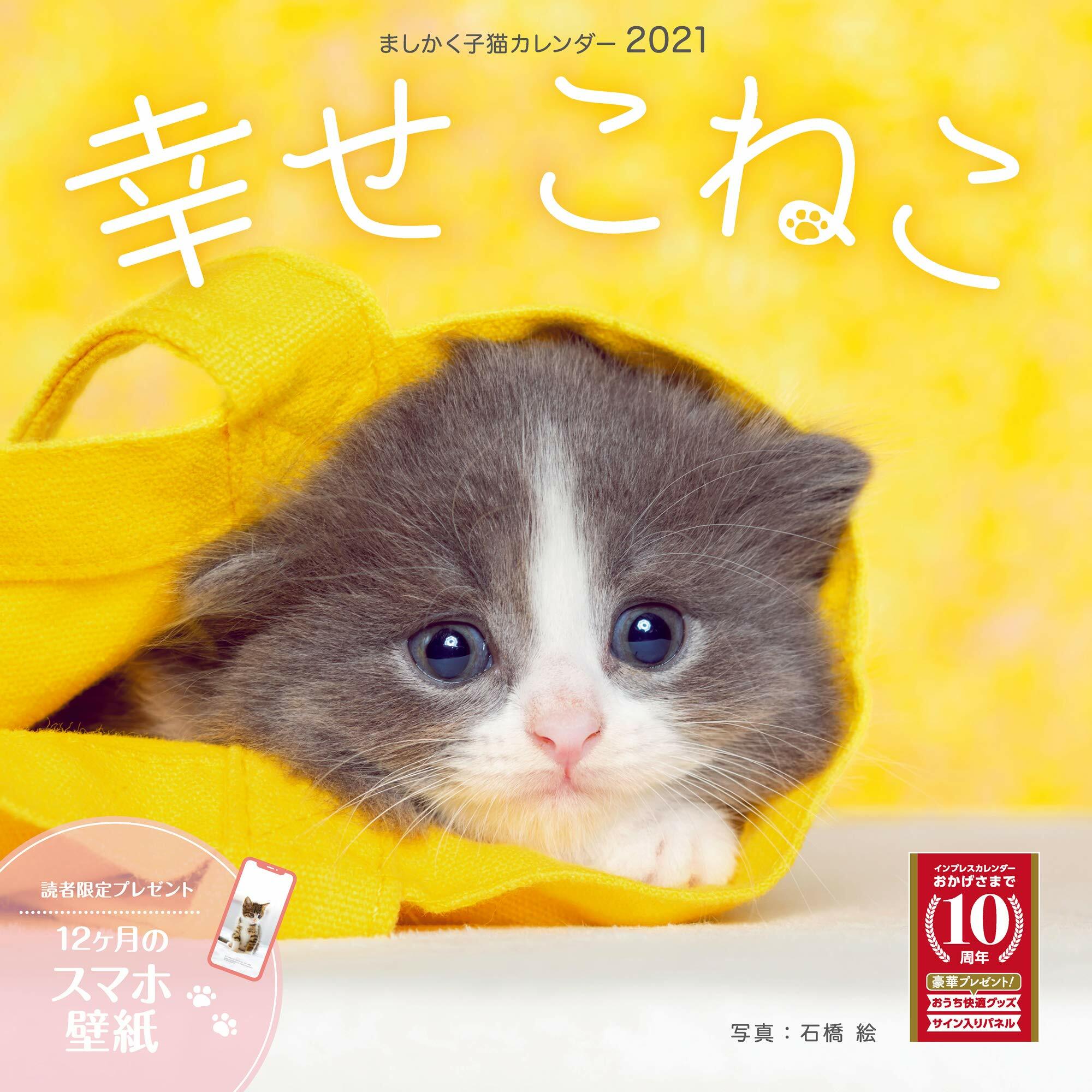 ましかく子猫カレンダ-幸せこねこ (2021)