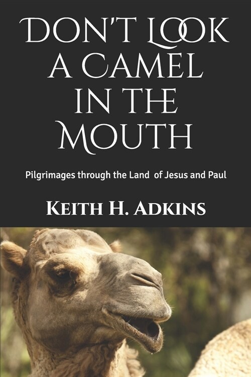 Dont Look a Camel in the Mouth: Pilgrimages through the Land of Jesus and Paul (Paperback)