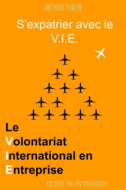 Sexpatrier avec le V.I.E.: Le Volontariat International en Entreprise racont?par un volontaire (Paperback)