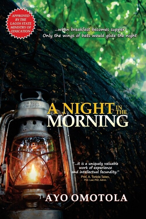 A Night in the Morning (Paperback)